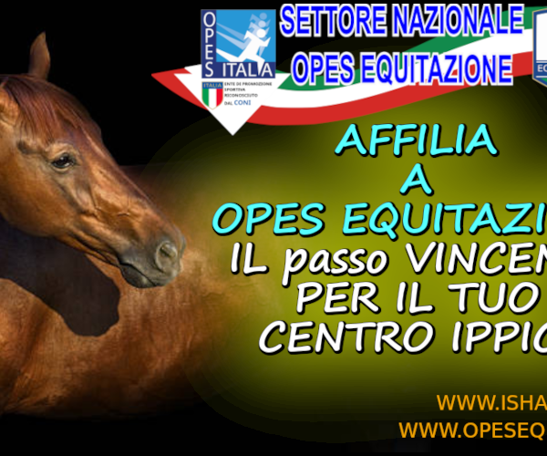 AFFILIAZIONE